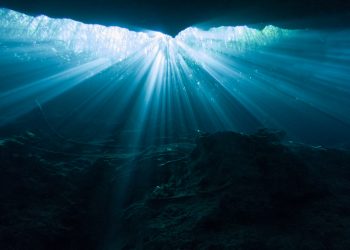 Sağlıklı Gelecek, Sürdürülebilir Seçim Omega-3 Desteği