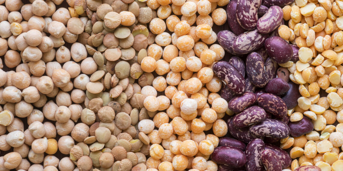 Et Yerine Bitkisel Alternatifler: Bitkisel Protein