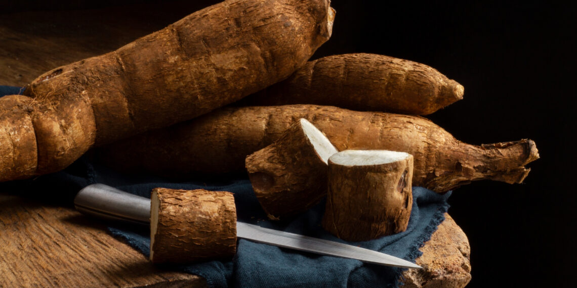 Kore Ginsengi (Panax Ginseng)