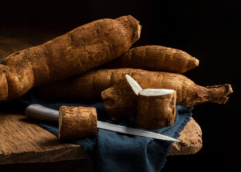 Kore Ginsengi (Panax Ginseng)