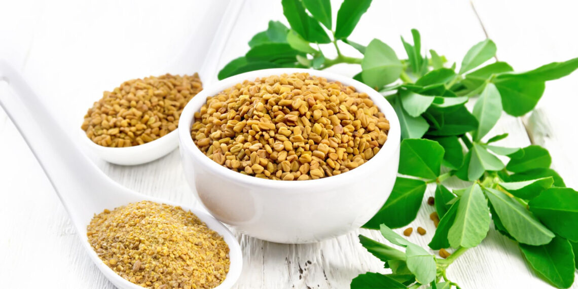 Çemen Otu Tohumunun Bilinmeyenleri