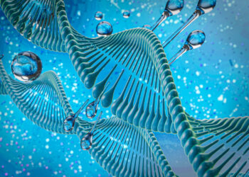 Kolin ve Sitikolin Nedir? Aralarındaki Farklar ve Beyin Sağlığına Etkileri