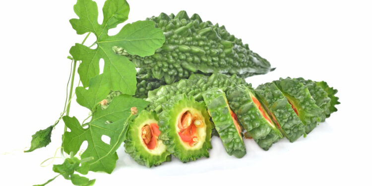 Yediğiniz Yemekler Kabusunuz Olmasın: Sindirim Sağlığı İçin Kudret Narı Desteği