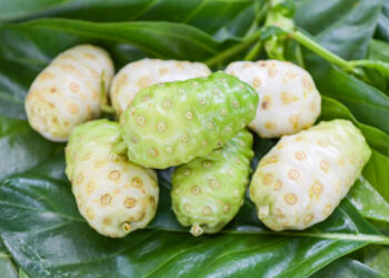 Kolesterole Egzotik Çözüm: Noni Meyvesi