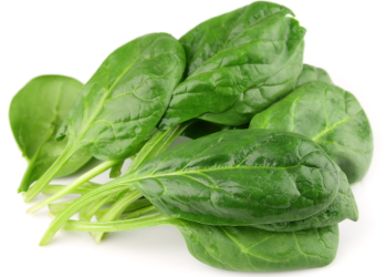 Mevsimlere Göre Sağlıklı Beslenme Önerileri