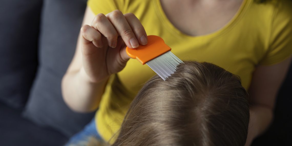 Okullar Açıldı, Bit Alarmı Çaldı! Çocuklarda Saç Bitinden Korunma Yöntemleri