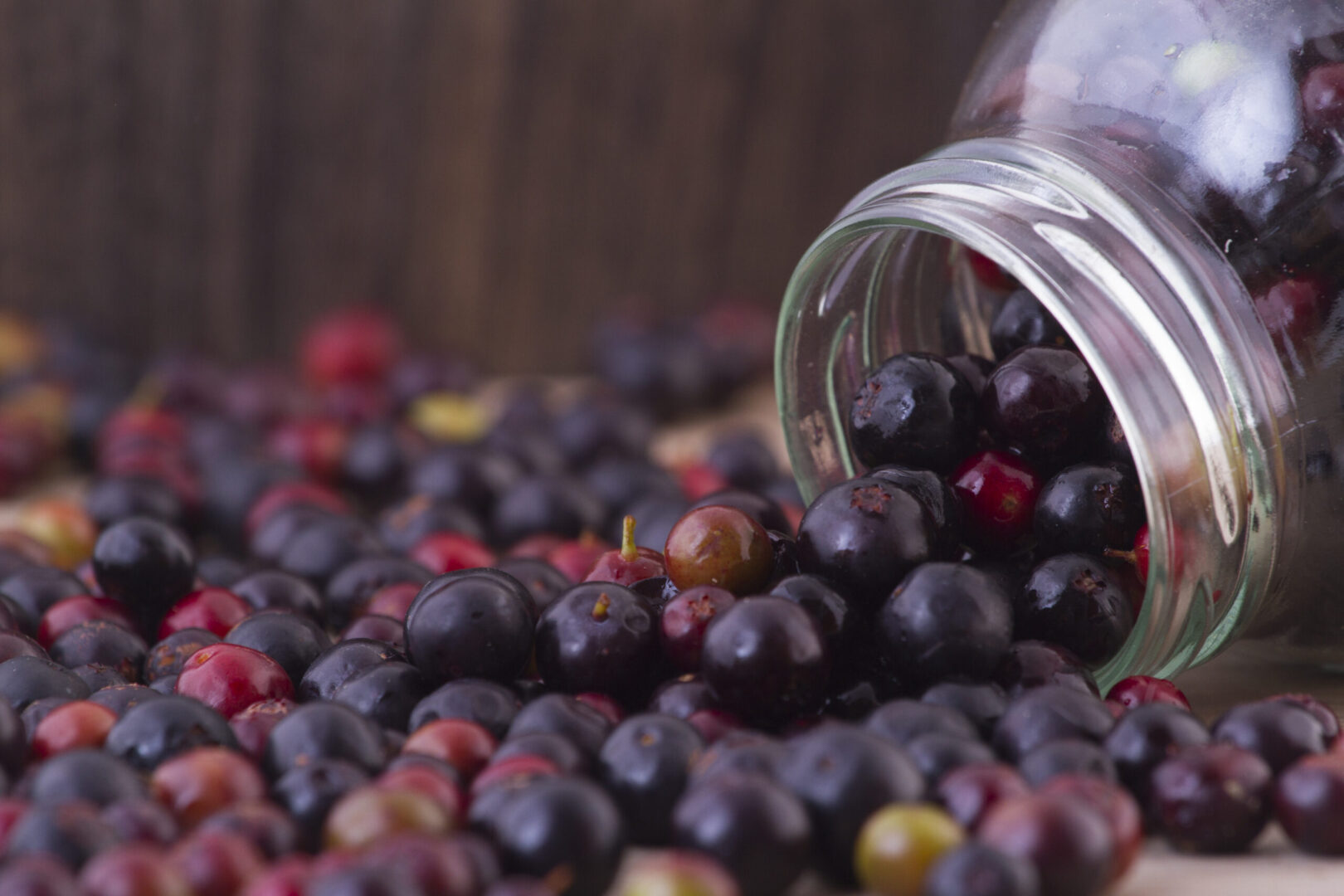 Resveratrol: Uzun Yaşamın Anahtarı mı? Faydaları ve Kaynakları