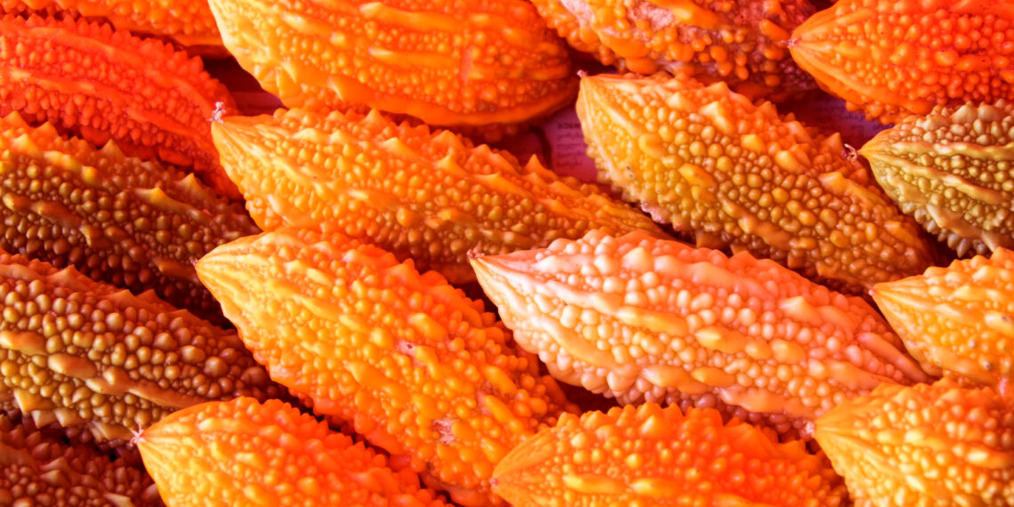 Doğal İnsülin Kaynağı: Kudret Narı