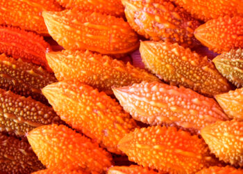 Doğal İnsülin Kaynağı: Kudret Narı