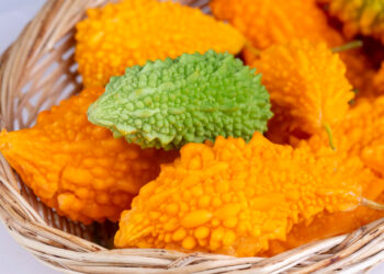 obezitenin-dogal-destegi-kudret-nari