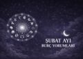 Şubat Ayı Burç Yorumları